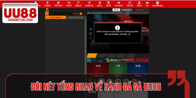 Đôi nét tổng quan về sảnh đá gà UU88